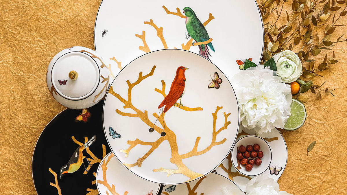 Bernardaud – Chiragan