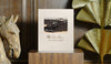 Assouline - Loro Piana: Master of Fibres